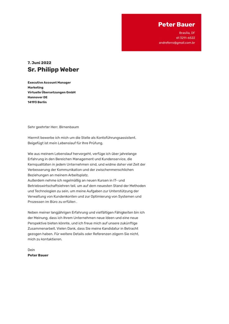 CV template Zeitgenössisches Rot