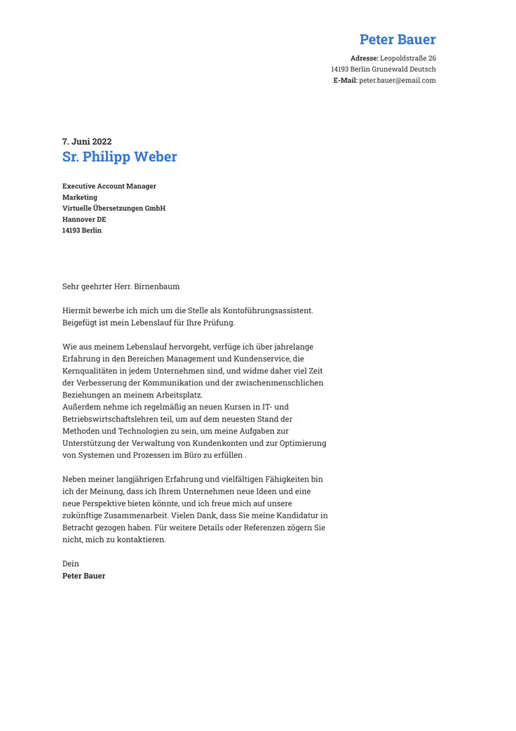 CV template Professionell